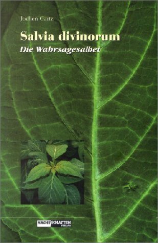 Salvia Divinorum main product photo