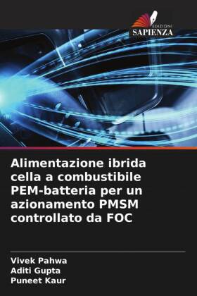 Alimentazione ibrida cella a combustibile PEM-batteria per un ...
