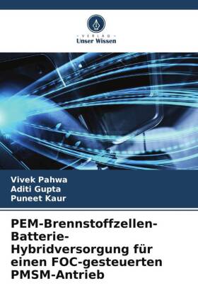 PEM-Brennstoffzellen-Batterie-Hybridversorgung für einen FOC-...