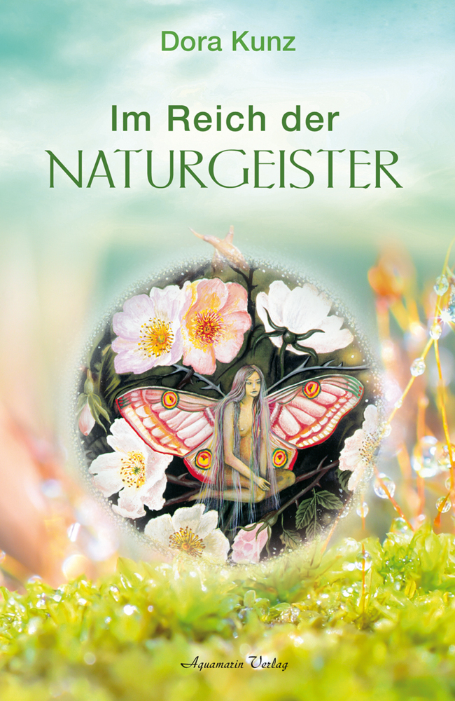 Im Reich der Naturgeister main product photo