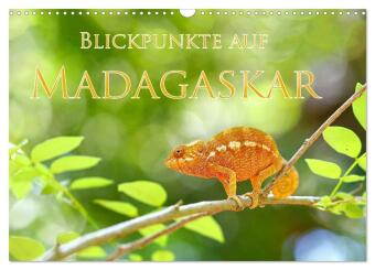 Blickpunkte auf Madagaskar (Wandkalender 2027 DIN A3 quer), CA...