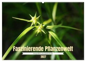 Faszinierende Pflanzenwelt (Wandkalender 2027 DIN A2 quer), CA...