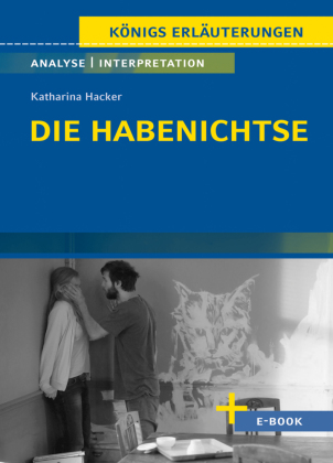 Die Habenichtse von Katharina Hacker - Textanalyse und Interpr...