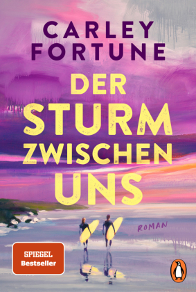 Der Sturm zwischen uns