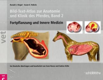 Bild-Text-Atlas zur Anatomie und Klinik des Pferdes. Bd.2 main product photo