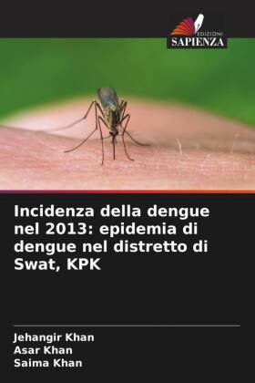 Incidenza della dengue nel 2013: epidemia di dengue nel distre...