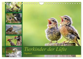 Tierkinder der Lüfte - Vogelwelt (Wandkalender 2027 DIN A4 qu...