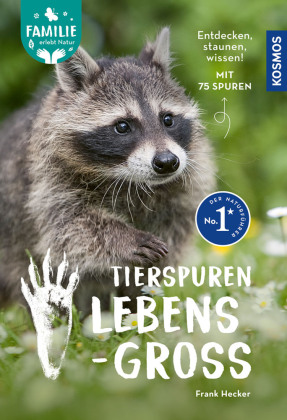 Tierspuren lebensgroß