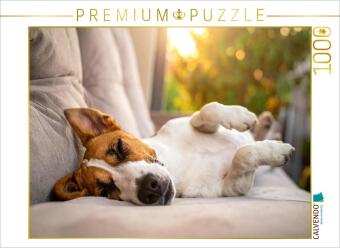 CALVENDO Puzzle Terrier vor der nächsten Action im seligen Sc...