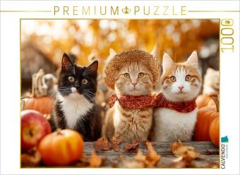 CALVENDO Puzzle Katzen im Herbst zwischen Kürbissen und Äpfe...