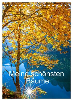 Meine schönsten Bäume (Tischkalender 2027 DIN A5 hoch), CALV...