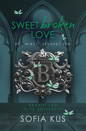 Sweet broken Love