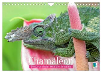 Chamäleon: Die farbenfrohe Welt der Reptilien (Wandkalender 2...