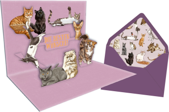 Pop-up-Grußkarte - I love Cats