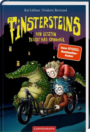 Die Finstersteins (
