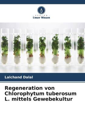 Regeneration von Chlorophytum tuberosum L. mittels Gewebekultur