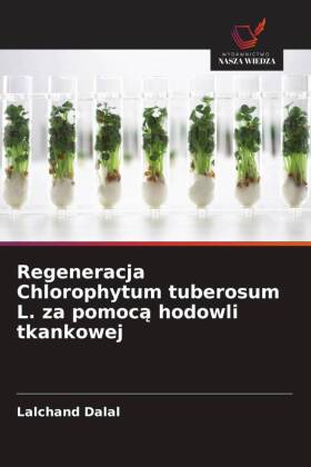 Regeneracja Chlorophytum tuberosum L. za pomoca hodowli tkankowej