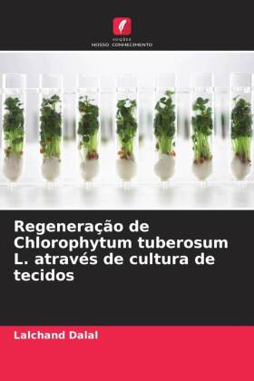 Regeneração de Chlorophytum tuberosum L. através de cultura...