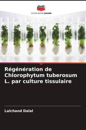 Régénération de Chlorophytum tuberosum L. par culture tissu...