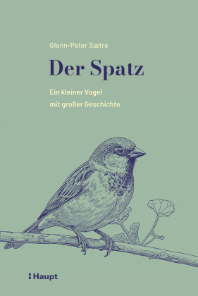 Der Spatz