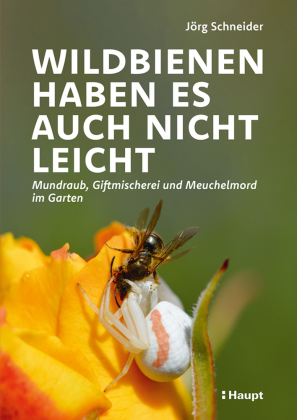 Wildbienen haben es auch nicht leicht