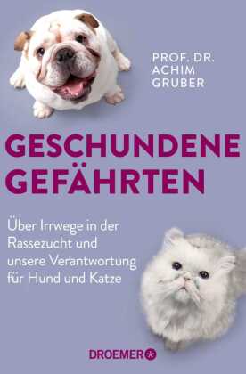 Geschundene Gefährten