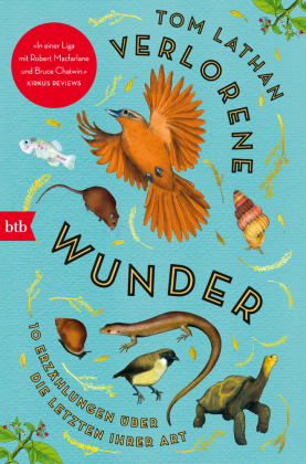 Verlorene Wunder