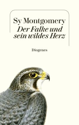 Der Falke und sein wildes Herz