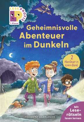 Leseprofis - Geheimnisvolle Abenteuer im Dunkeln, 1. Klasse (D...