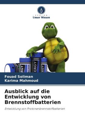 Ausblick auf die Entwicklung von Brennstoffbatterien