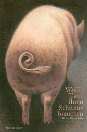 Wofür Tiere ihren Schwanz brauchen