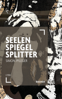 SEELENSPIEGELSPLITTER