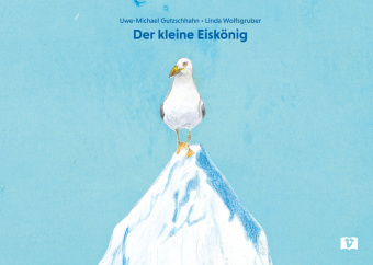 Der kleine Eiskönig. Bilderbuch