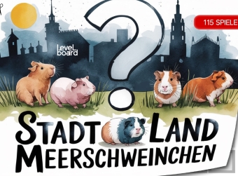 Stadt, Land, Meerschweinchen - 115 Spielblöcke