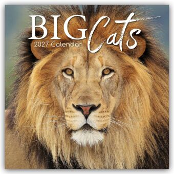 Big Cats - Raubkatzen - Löwen Tiger Geparden Leoparden 2027 -...