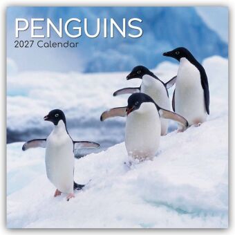 Penguins - Pinguine 2027 - 16-Monatskalender