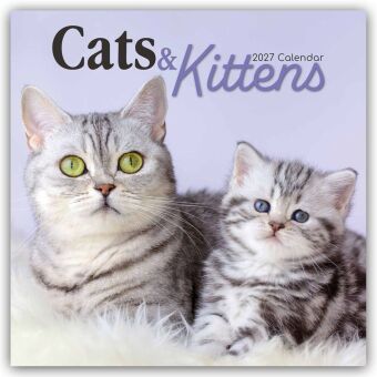 Cats and Kittens - Katzen und Kätzchen 2027 - 16-Monatskalender