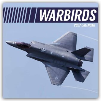 Warbirds - Kampfflugzeuge 2027 - 16-Monatskalender