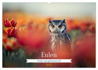 Eulen - schön und geheimnisvoll (Wandkalender 2027 DIN A2 que...