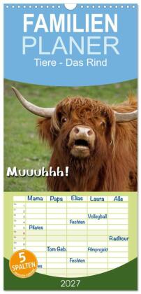 Familienplaner 2027 - Muuuhhh! mit 5 Spalten (Wandkalender, 21...