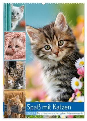 Spaß mit Katzen (Wandkalender 2027 DIN A2 hoch), CALVENDO Mon...