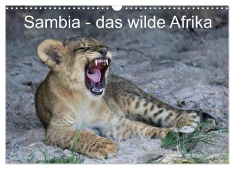 Sambia - das wilde Afrika (Wandkalender 2027 DIN A3 quer), CAL...