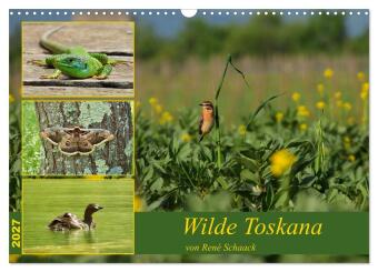 Wilde Toskana - von René Schaack (Wandkalender 2027 DIN A3 qu...