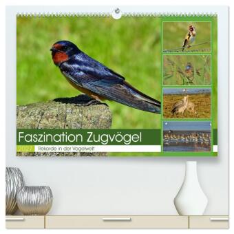 Faszination Zugvögel - Rekorde in der Vogelwelt (hochwertiger...