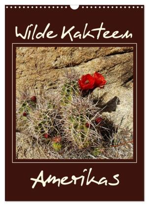 Wilde Kakteen Amerikas (Wandkalender 2027 DIN A3 hoch), CALVEN...