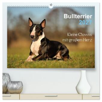 Bullterrier 2027 - Kleine Clowns mit großem Herz (hochwertige...