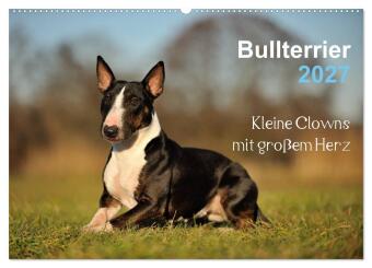 Bullterrier 2027 - Kleine Clowns mit großem Herz (Wandkalende...