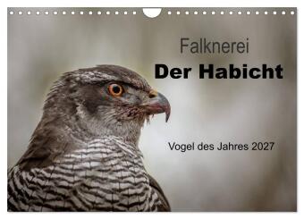 Falknerei Der Habicht (Wandkalender 2027 DIN A4 quer), CALVEND...