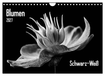 Blumen 2027, Schwarz-Weiß (Wandkalender 2027 DIN A4 quer), CA...