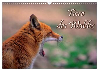 Tiere des Waldes (Wandkalender 2027 DIN A3 quer), CALVENDO Mon...